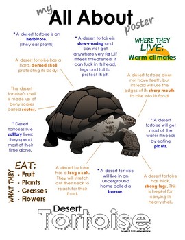 Preview of My All About Desert Tortoises Book / Workbook - (Desert Animal / Warm climate)