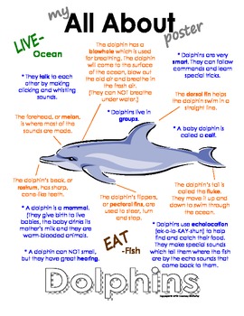 My All About Dolphins Book / Workbook - Ocean Animal Unit Study | TpT