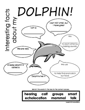 My All About Dolphins Book / Workbook - Ocean Animal Unit Study | TpT