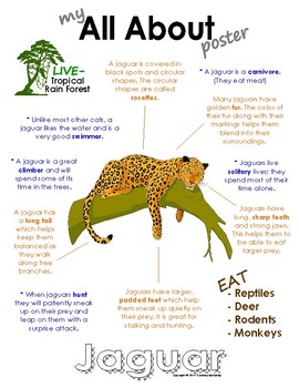 My All About Jaguars Book / Workbook - (Tropical Rain Forest/Jungle