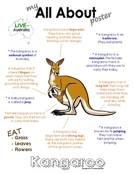 Preview of My All About Kangaroos Book / Workbook - (Australian Animal / Marsupial)