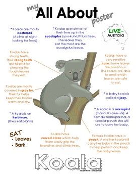 Preview of My All About Koalas Book / Workbook - (Australian Animal / Marsupial)