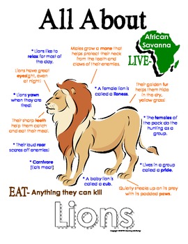 Words To Describe A Lion