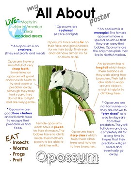Preview of My All About Opossums Book / Workbook - (Forest / Woodland Animals)