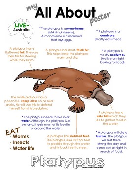Preview of My All About Platypus Book / Workbook - (Australian Animal / Monotreme)
