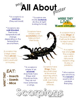 What is a Scorpion?  Habitat, Facts & Types - Video & Lesson