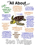 My All About Sea Turtles Book - Ocean Animal Unit Study