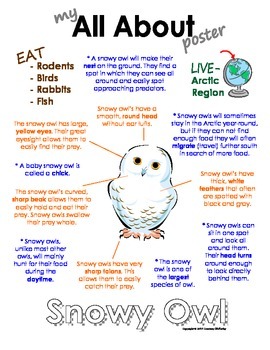 My All About Snowy Owl Book - (Arctic/Polar Animals) by Courtney McKerley