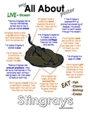 My All About Stingrays (sting ray) Book - Ocean Animal Unit Study