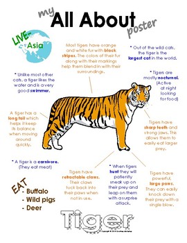 87 Fun And Interesting Tiger Facts For Kids