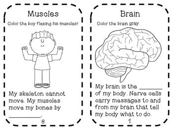 human body mini book by jennifer reed teachers pay teachers