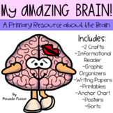 My Amazing Brain! ~ A Primary Resource about the Brain