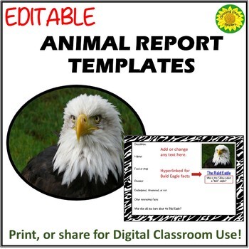 Preview of Animal Report Templates- Graphic Organizers (editable)