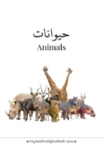 My Arabic Animals Flashcards - 100 Printables