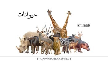 Preview of My Arabic Animals - Fullscreen Interactive Pdf with Sound