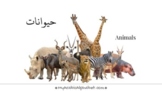 My Arabic Animals - Fullscreen Interactive Pdf with Sound