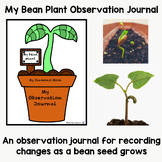 My Bean Plant Observation Journal