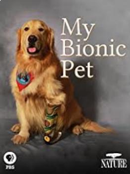 Preview of My Bionic Pet Viewing Guide