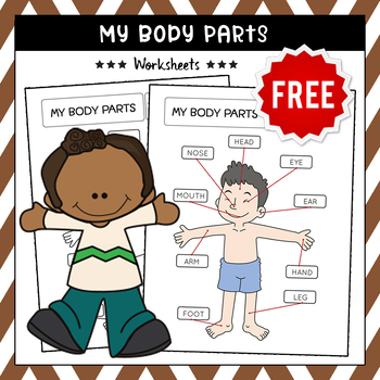 Preview of FREE My Body Activities Parts Organs, The Human Body Systems, Literacy Centers