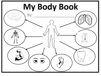 Preview of My Body Book for Primary Students