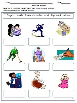 my body internal organs bones joints muscles worksheets for grade 2 3