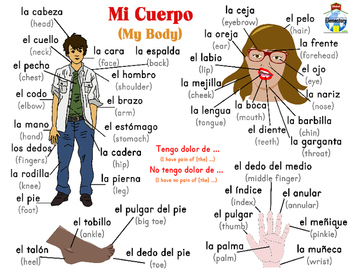 basic body parts in spanish