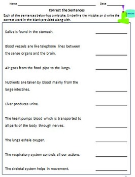 human body organ systems worksheets for grade 3 4 google classroom