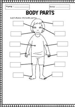 My Body Parts Blank Template (ALL languages ) by Teacher Publishing Corner