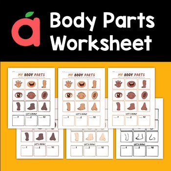 identifying body parts teaching resources teachers pay teachers