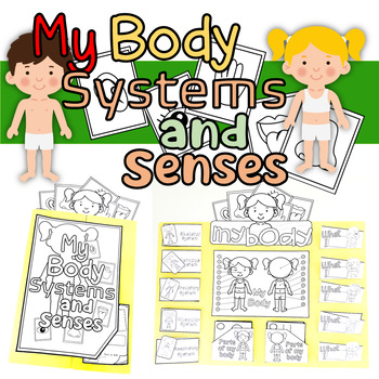 Preview of My Body Systems And Senses Lapbook