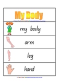 My Body Word Wall - 4 pages