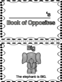 My Book of Opposites - for 1 time or repeated use (10 pair