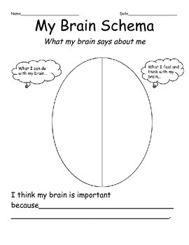 schema brain