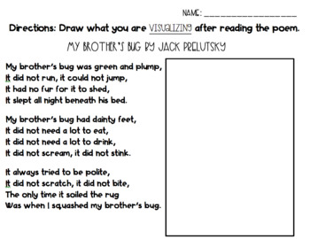 Preview of My Brother's Bug Poem for Visualizing