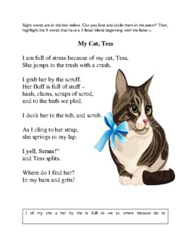 My Cat, Tess by Mrs Rogers Reading Room | TPT