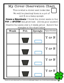 When To Plant Seeds Chart
