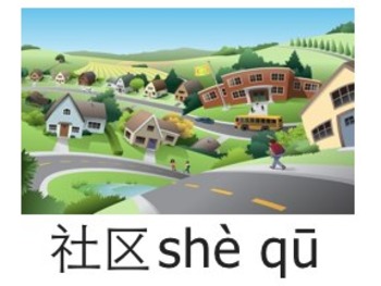 Preview of My Community-Vocabulary Cards 我的社区 字卡
