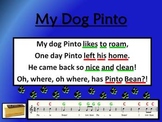 My Dog Pinto (A I-V Chord Journey)
