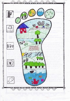 My Ecological Footprint by Biology Buff | Teachers Pay Teachers