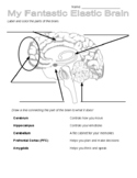 My Fantastic Elastic Brain printable handout