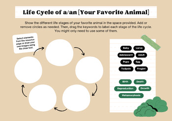Preview of My Favorite Animal's Life Cycle Graphic Organizer