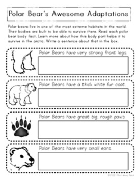 white bear research paper