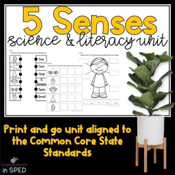 Preview of #Dollarbloom My Five Sense-A Science Unit for Special Education