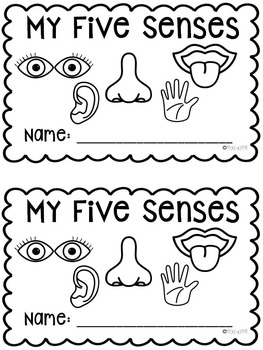 My Five Senses by My Day in K | TPT