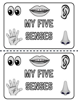 Preview of My Five Senses Booklet FREEBIE