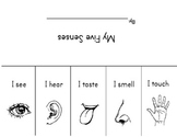 My Five Senses Flipbook