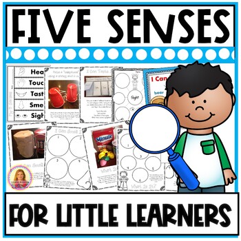 Preview of Five Senses Activities | Hands-On Experiments | Books | Posters | 5 Senses