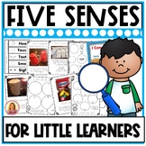 Five Senses Activities | Hands-On Experiments | Books | Po