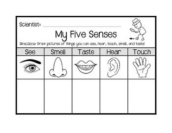 My Five Senses - Journal by LIVIN' IN A VAN DOWN BY THE RIVER | TpT