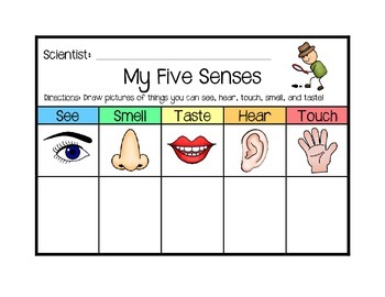 Preview of My Five Senses - Journal